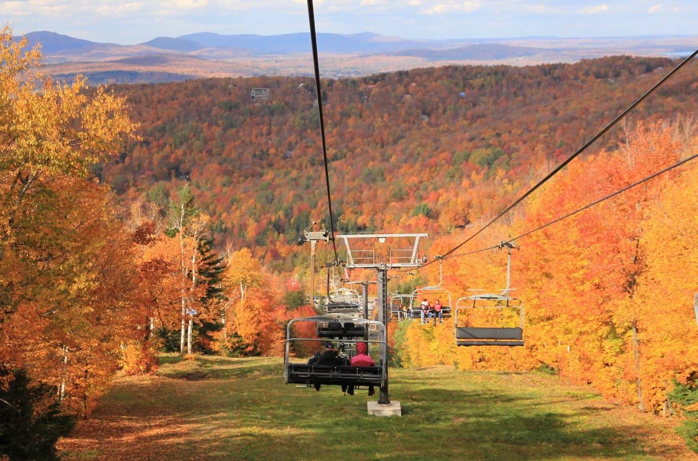 Automne de découvertes