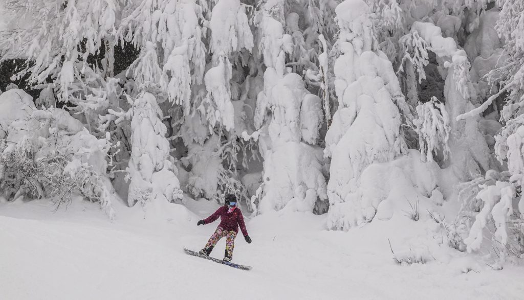 27-33cm de neige 29 Janvier SUTTON