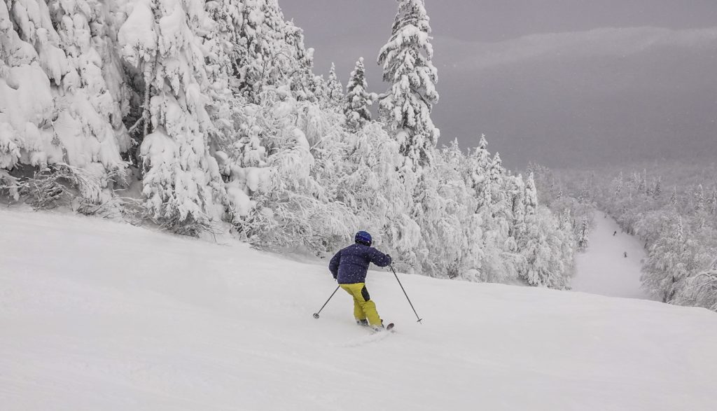 27-33cm de nouvelle neige 29 Janvier SUTTON
