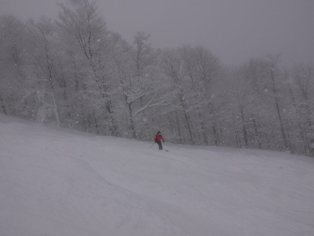 28 janvier - il neige à plein ciel