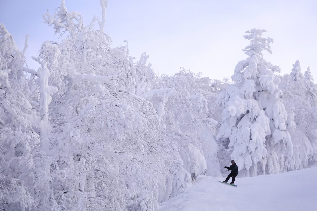 24 janvier après la neige