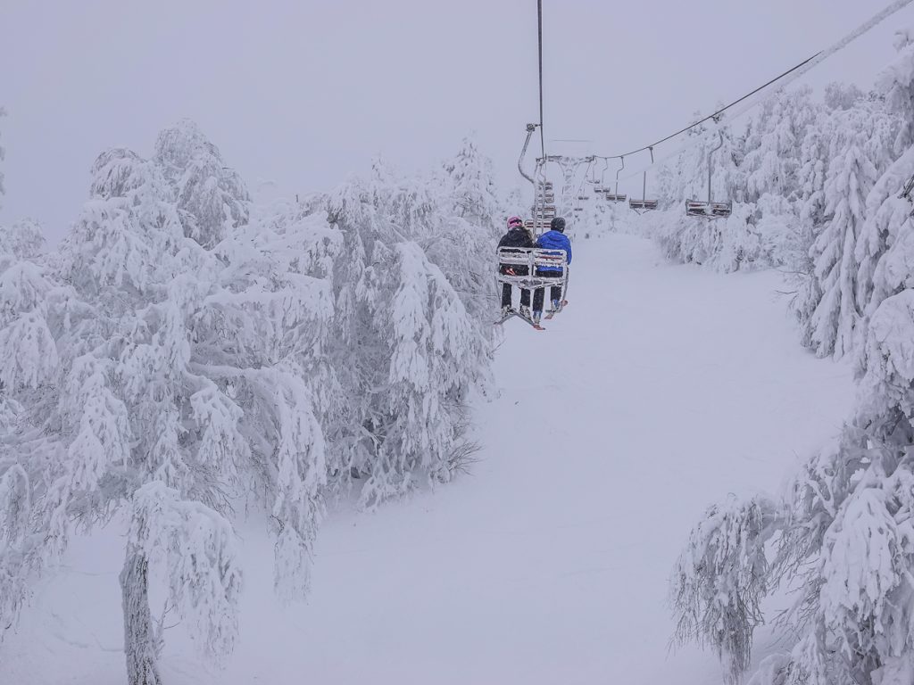 Paysage du 23 janvier