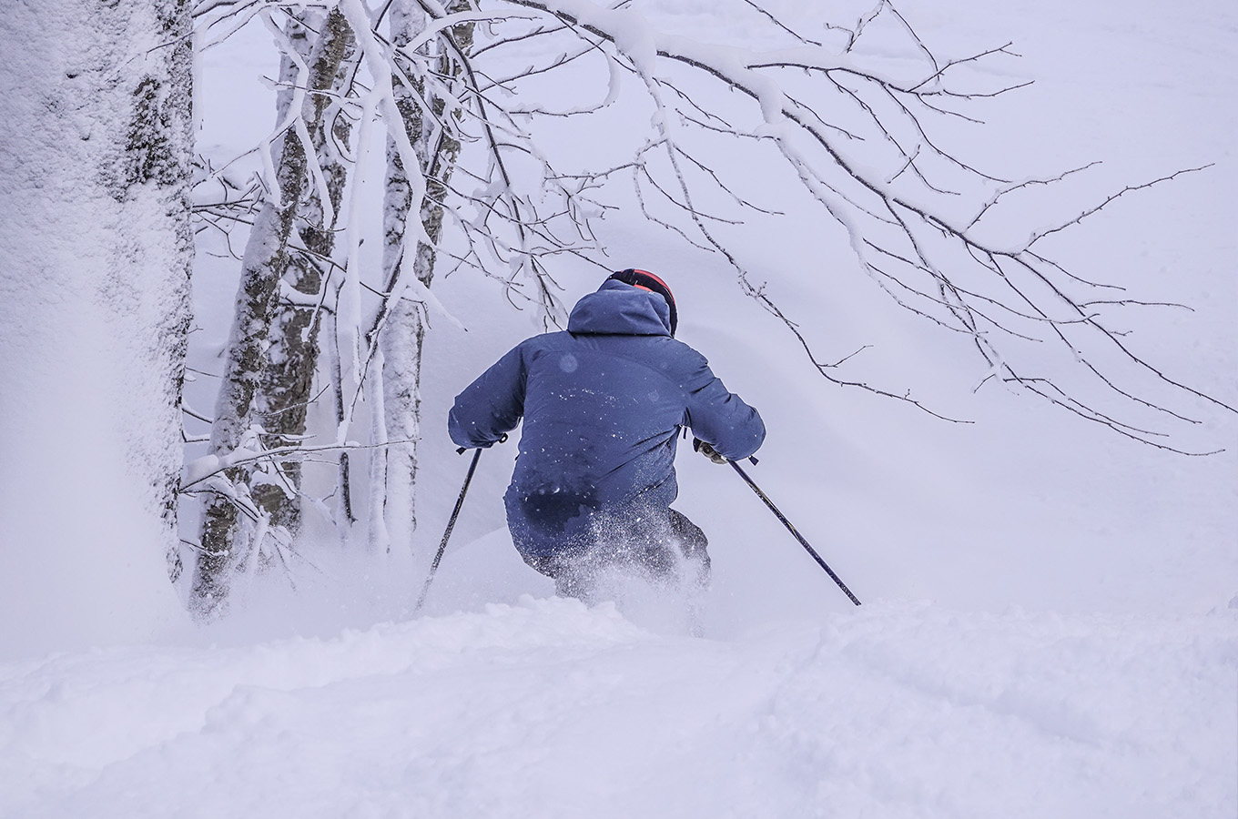 NEARLY 100% OF THE SKI AREA OPEN!